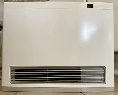 Rinnai Avenger 25 Natural Gas Heater RCE-671 TR - With 3m Hose - White - image 1 of 4