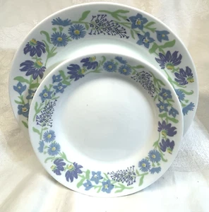 7 Corelle STERNBLUME ABENDESSEN und MITTAGESSEN / SALATTELLER - Bild 1 von 3