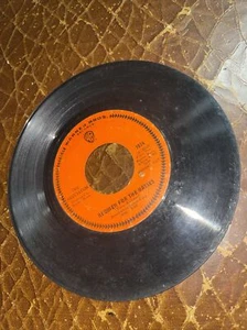 Tha Association Never My Love  Requiem for the Masses EX 45 Vinyl (WTF12)z - Picture 1 of 2