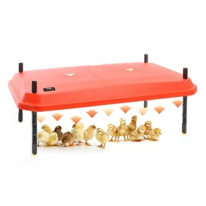 Fudajo 45x60cm Küken-Wärmeplatte Temperaturregler 60W Heizplatte Kükenaufzucht - Bild 1 von 10