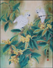 Chinese 100% real natural silk thread,su hand embroidery kits:white parrots 15"