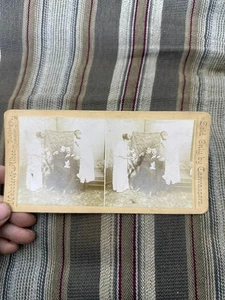 Vintage WEBSTER & ALBEE Stereoview BLISS Frau sitzt auf Männerschoß - Bild 1 von 4