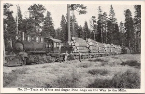 c1910s McCLOUD RIVER LUMBER CO. California Postcard "Train of Sugar Pine Logs" - Bild 1 von 2