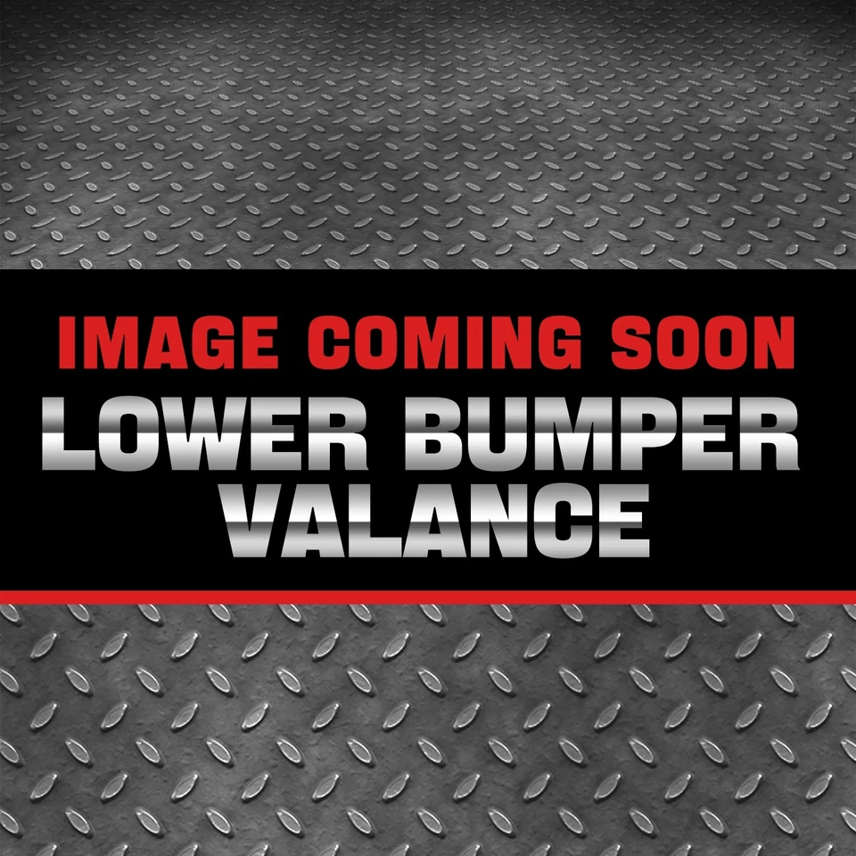 Alerón cenefa parachoques inferior delantero imprimado para Chevy City Express LS LT 15-18 Foto 1 de 1