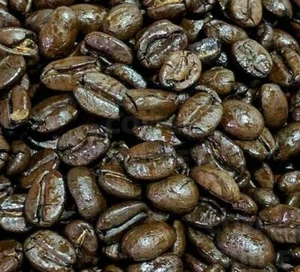 Freshly Roasted Guatemalan Coffee Beans - At a Fair Price 1lb, 2lb, 5lb - Picture 1 of 1