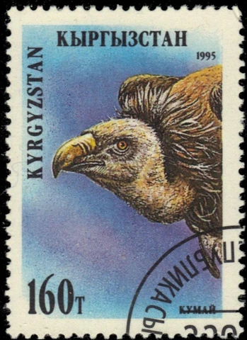 KYRGYZSTAN 58 - Himalayan Gryphon Vulture "Gyps himalayensis" (pa23054) Cover