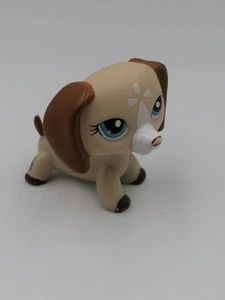 Littlest Pet Shop Collection LPS Figure #1491 Blue Eye Dachshund Dog Toy A1 - Foto 1 di 4