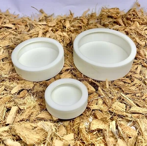 Bearded Dragon Gecko Food Dish Superworm Anti-Escape Reptile Tank Supplies - Picture 1 of 8