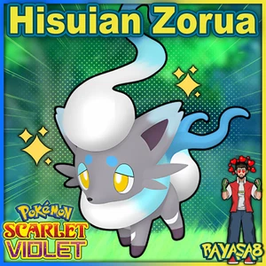 Pokemon Zorua 6IV Trained 🌟Shiny🌟 Non Shiny Hisuian Scarlet and Violet Home🌟 - Picture 1 of 7