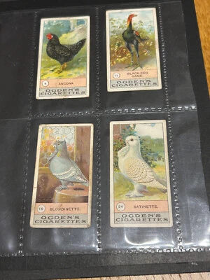 OGDENS-FOWLS PIGEONS & DOGS 1904-#11- BLACK RED GAME - Image 1 of 2