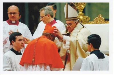 Original signiertes Foto Júlio Cardinal Langa - Kardinal Papst Franziskus - Bild 1 von 2