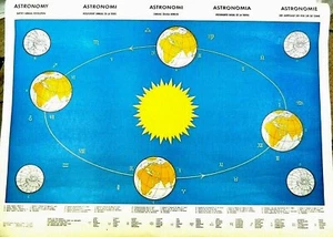 Astronomy & Astrology Poster in 5 Languages Earth's Annual Revolution Vintage - Picture 1 of 5