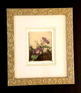 AMY MELIOUS "MORNING GLORY" Art Print Framed Signed Pier 1 Imports - Picture 1 of 10