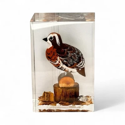 Pisapapeles Bob White Codorniz Pájaro Tallado a Mano Madera Pintado Lucite Canadá De Colección Foto 1 de 4
