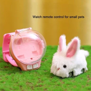 Remote control car for kid boy girl children toy rabbit dog birthday gift - Picture 1 of 18
