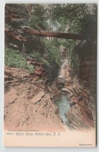 Postcard Mystic Gorge Watkins Glen, NY - Picture 1 of 2