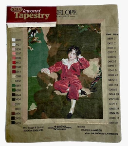 Unworked Canvas Semco PENELOPE Needlepoint BC003 MASTER LAMBTON 43 x 34cm Design - Picture 1 of 9