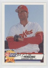 1993 Fleer ProCards Minor League Greg Perschke #1458