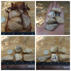 5 Large Picture Jasper Tumbled Stones 4.1 oz 118g Crystal Palm Worry Polished - Picture 1 of 6