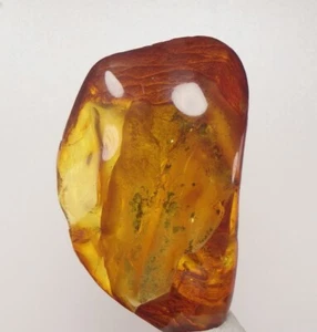 100% natural BALTIC AMBER 30 g - beautiful colour LW fluorescent EOCEN /ph735 - Picture 1 of 21