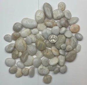 1 lb Tumble Polished Cape May NJ Beach Quartz Stones Crafts Decorating Rocks N1 - Picture 1 of 6