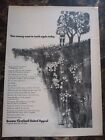 Greater Cleveland United Appeal Charity Girl Cat Tree 1970 Vintage Print Ad