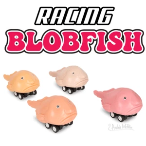 Racing Blobfish (set of 4) Funny Pull Back Race Fish Toys - Archie McPhee - Picture 1 of 8