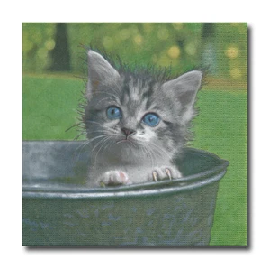 4 Servietten Napkins Tovaglioli Serviettentechnik Basteln Katze im Eimer (172) - Bild 1 von 1