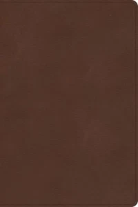 CSB Rainbow Study Bible, Brown LeatherTouch, Full-Color Design, Black Le .. NEW - Imagen 1 de 1