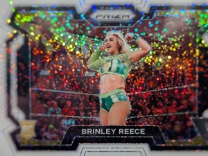 2024 Panini Prizm WWE WHITE SPARKLE SSP CARD Brinley Reece #36 NXT ROOKIE - Picture 1 of 1