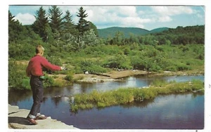 ANTIQUE Postcard - Fishing in the Adirondacks of New York - Picture 1 of 2