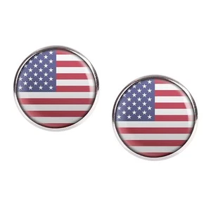 Mylery Stud Earrings Pair with Motif USA America America United States United S - Picture 1 of 6