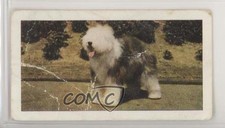 1961 Horniman's Dogs Tea Old English Sheepdog #37 0e3