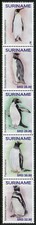 Suriname Birds on Stamps 2020 MNH Penguins Macaroni King Penguin 5v Strip