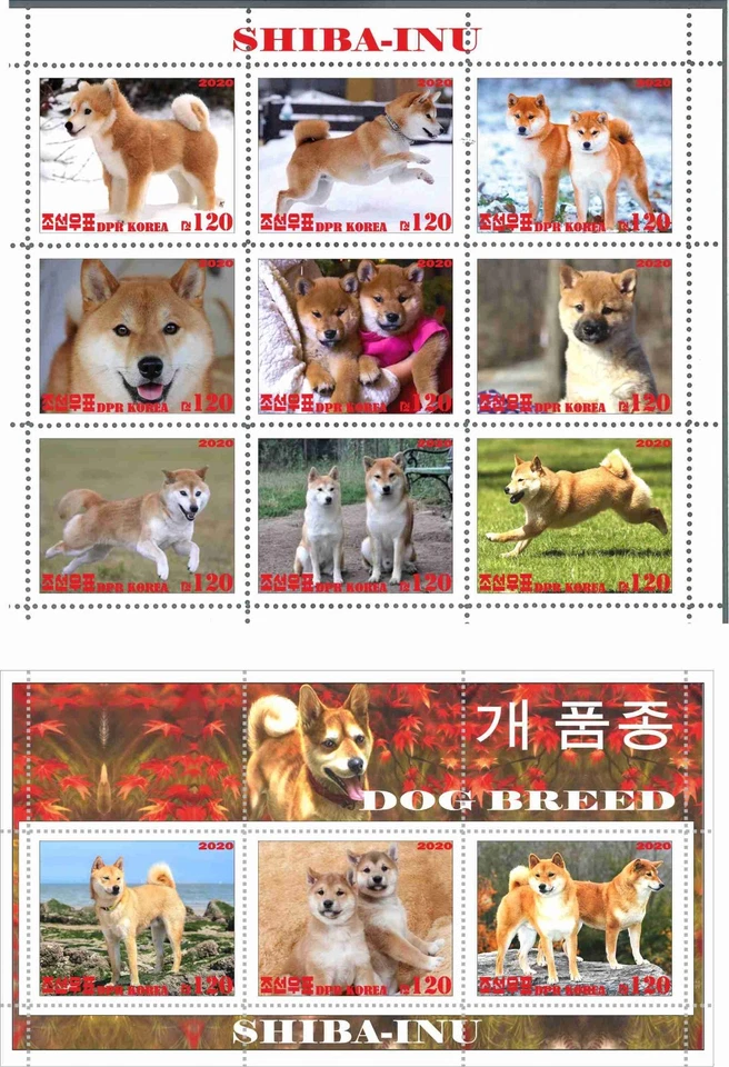 Stamp sheet+block Shiba-Inu Korea 2020 Dogs issue - Image 1 of 1