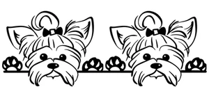 Peeking Yorkshire Terrier Two PK Black Vinyl Decal Car Laptop Tablet Tumbler - Picture 1 of 2