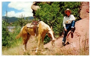 Lotto 9 cartoline d'epoca cromate con cavalli western cowboy spedite e UNP - Foto 1 di 18