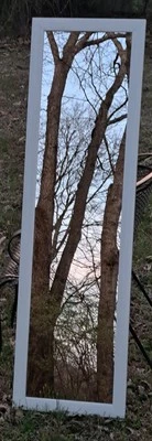  Full Length Body 52X15 Rectangle, Mirror , Wall Mount Wood Framed Brand  - Image 1 of 4