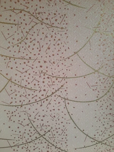 2 sheets A4 21x29.7cm Washi Rice Yuzen Chiyogami Origami Japan Papers - Picture 1 of 1