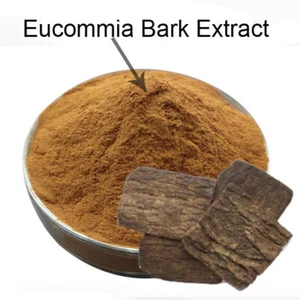 Eucommia Bark 30:1 Extract Du Zhong Hardy rubber tree Powder Chinese Du-zhong - Picture 1 of 2