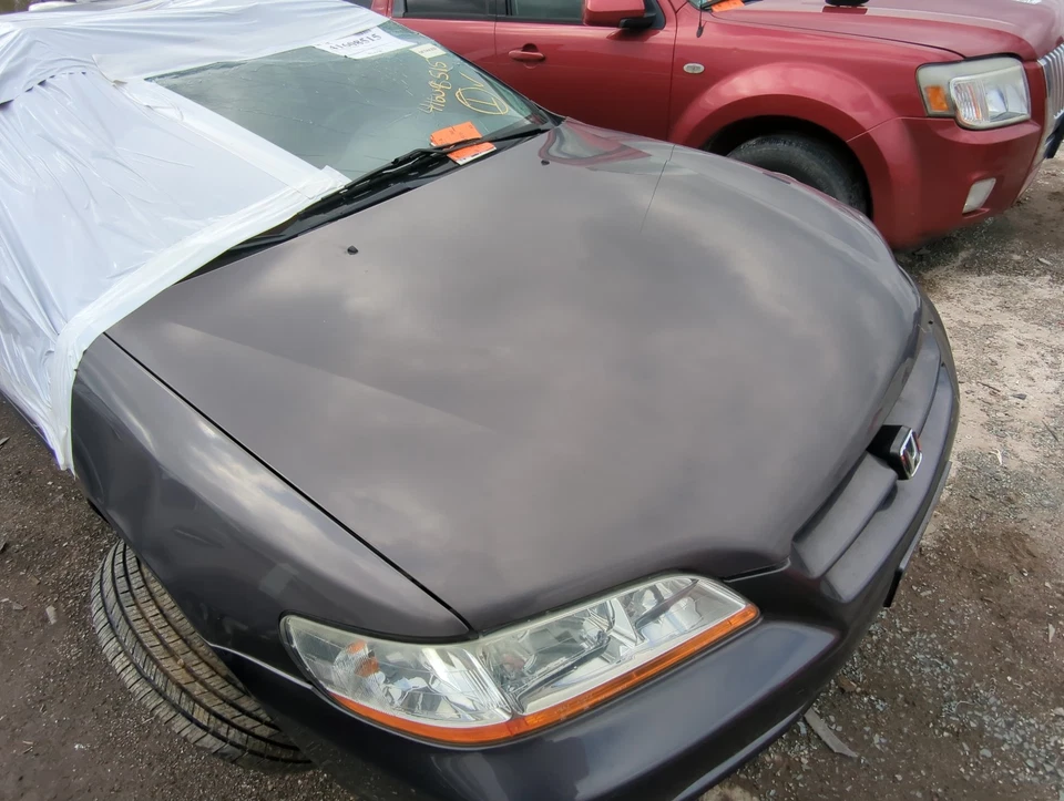1999 Honda Accord Hood Oem M1ECP - Image 1 of 1