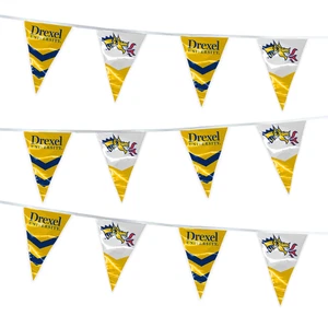 Drexel University Dragons DU Pennant Strings Decorations - 2 Options - Picture 1 of 10