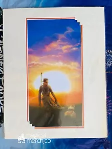 2023 Disney Star Wars Rey BB-8 The Force Within William Silvers Print 14x18” - Picture 1 of 1