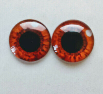 Brown/ Amber Glass Cabachon Eyes Great For Taxidermy, Needle Felting, Toy Making • 2.75£