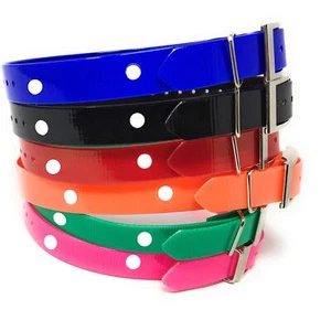 Foxy Pet Co 1" Heavy Duty Astro DC40 Collar de Repuesto Compatible Correa, Rojo - Imagen 1 de 5
