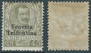 1918 TRENTINO ALTO ADIGE VENEZIA TRIDENTINA FLOREALE 45 CENT MH * - RA13-2 - Bild 1 von 1