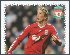 PANINI LIVERPOOL STICKER-2010- #032-LIVERPOOL-FERNANDO TORRES-TOP HALF - Picture 1 of 1
