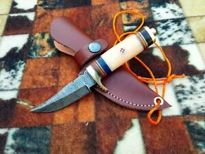 Custom Handmade Knife 6" Forged Damascus Steel Bone Handle Skinner Brass Guard