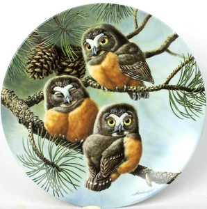 Knowles Collector China Plate Saw Whet Owls 1991 "Forty Winks" Limited Edition - Picture 1 of 6