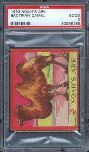 1933 R100 Flatbush Gum Noah's Ark Bactrian Camel PSA 2